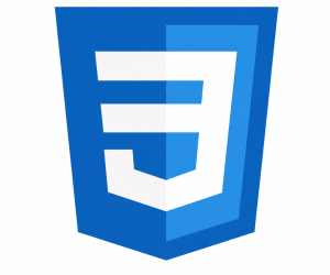 CSS